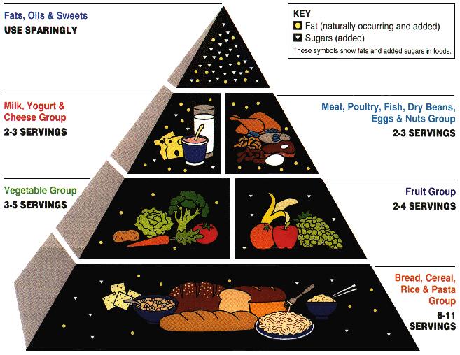 The food pyramid is very helpful if you want to create healthy diet.